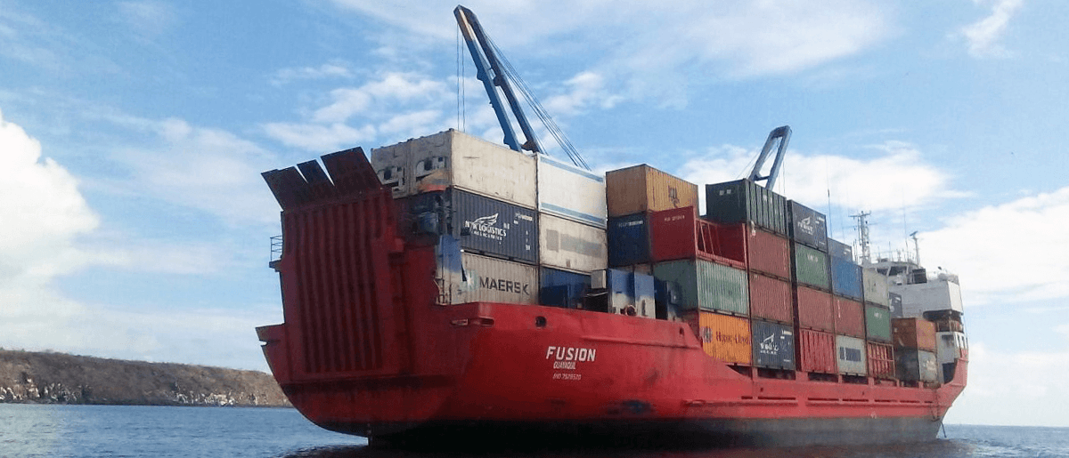 Pacific Cargo Line - MV Fusion